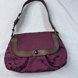 Elegant Purple and Brown Women's Bag